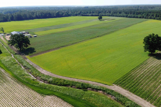 Sumanūs agroverslo technologai