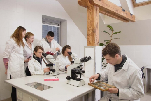 Tikslinės studijos: už mokslus teks atidirbti 